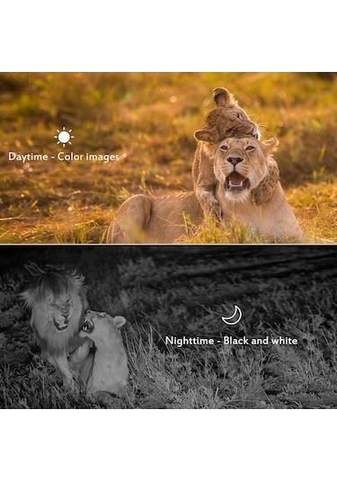 Ankatek Mini Trail Kamera 16mp 1080p Hareketle Etkinleştirilen Avcılık Kamerası 65ft Gece Görüşlü Açık Hava Yaban Hayatı İzleme Kamerası Ip65 Su Geçirmez Rw Kamuflaj Kamuflaj