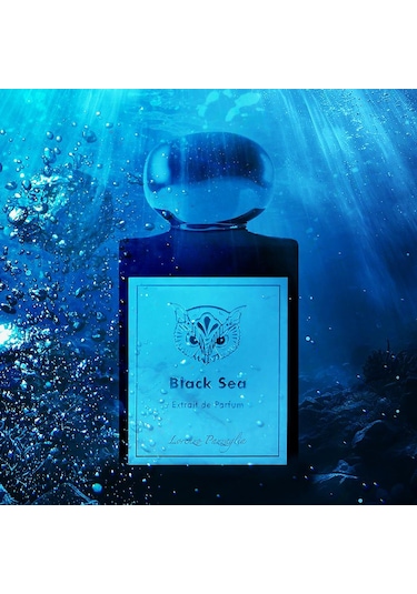 Lorenzo Pazzaglia Black Sea Erkek Parfüm EDP 50 ML