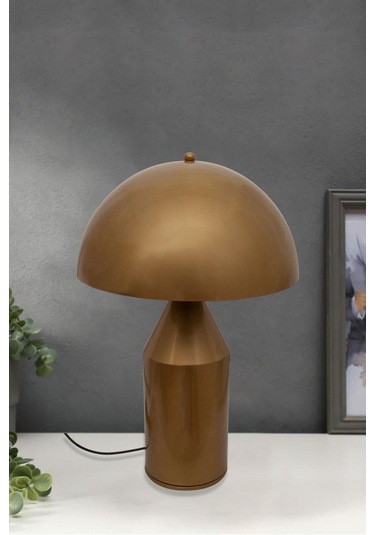 Mantar Abajur Eskitme Eskitme