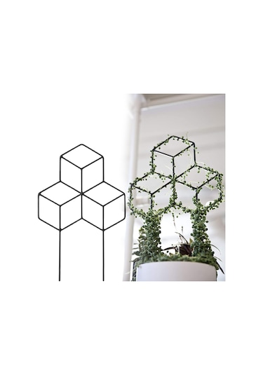 Lebihmurah 2925 Bitkiler Destek Çerçevesi Paslanmaz Saksı Bitki Tırmanma Asma Rafı