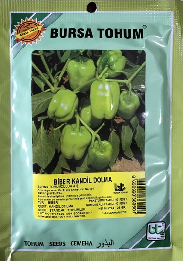 Biber Tohumu Kandil Dolma 25 GR 3000 Adet Tohum