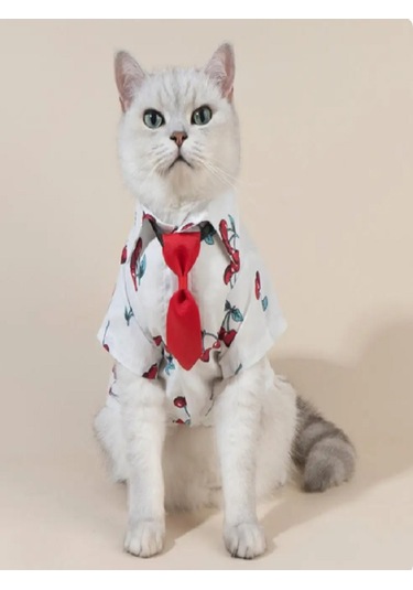 Patici Misss Kiraz Desen Kedi Köpek Yazlık Gömlek Papyon Kravat Üçlü Takım XL