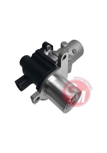 GUA 41225 EGR VALFİ RENAULT CLIO II-KANGOO-MEGAN II 1.5 DCI 04 TW