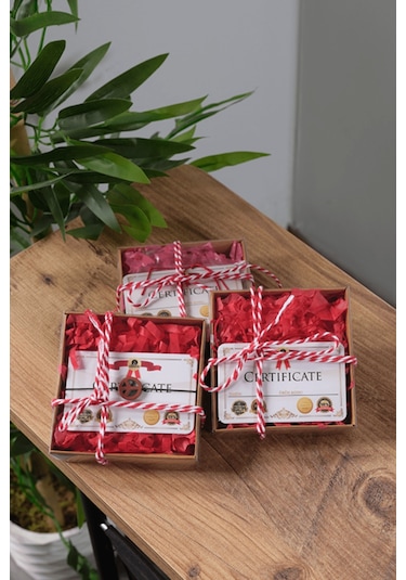 Ssilhoutte Doğaltaş Sertifikalı Kaplangözü Ve Hematit Kombin Doğal Taş Hediye Erkek Bileklik Kahverengi