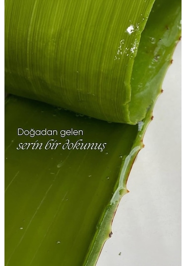 Xaura Global Aloe Vera Mask 4'lü Paket