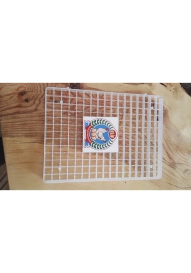 221lı Bıldırcın Gelişim viyolu