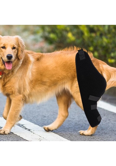 Homyl Köpek Dizlik Pet Dirsek Koruyucu Ped Burkulma Sol-arka