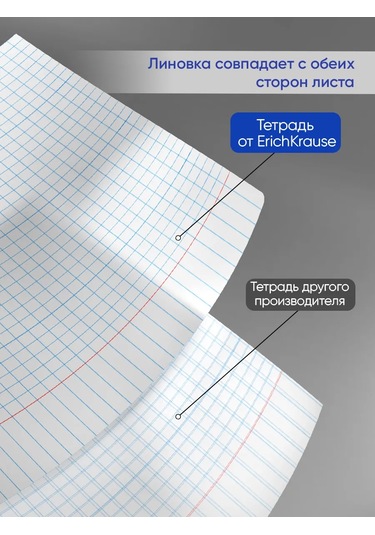 Erichkrause Kareli Defter, 24 Yaprak, 10 Adet 11818127