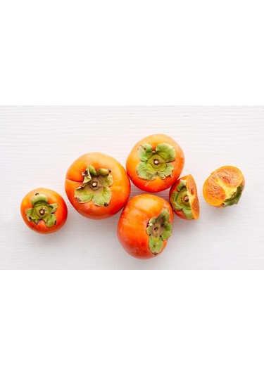 Çikolatalı Harbiye Hurma Fidanı 5 Adet Kakaolu