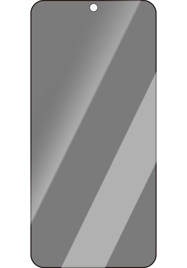 Galaxy S25 Uyumlu Caseworld Hd Serisi 0.25mm Privacy Hayalet Temperli Cam Ekran Koruyucu