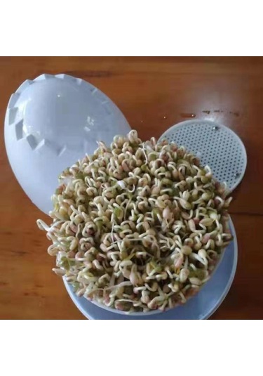 Suntek Tohum Filizleme Kabı Bezelye Bahçesi Kapaklı Depolama