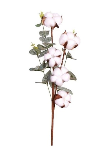 4 Adet Okaliptuslu Doğal Pamuk Çiçeği Dalı 5Li Kuru Çiçek Yapay Ç