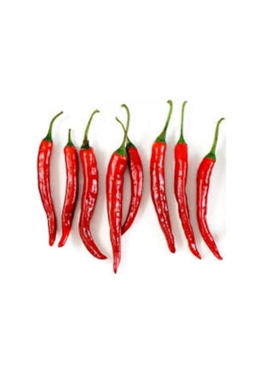 40 Adet Tohum Şili Biberi Tohumu Çok Acı Chili Biber Tohumu Sa