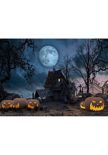 Youtek Halloween Fotoğraf Çekimi İçin 2.1x1.5m Poliester Arka Plan Örtüsü, Taşınabilir Ve Yıkanabilir Beyaz