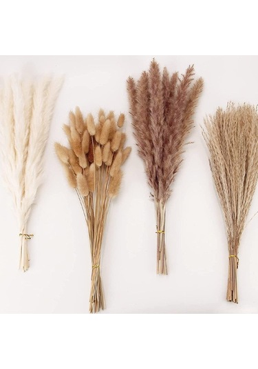 Sıcak Bohem Düğün Evi Kurutulmuş Çiçek Buketi Küçük Kamış Çırpıcı Tavşan Kuyruğu Otu Küçük Pampas Otu 100 Adet 2 Kutu Ambalajıyla