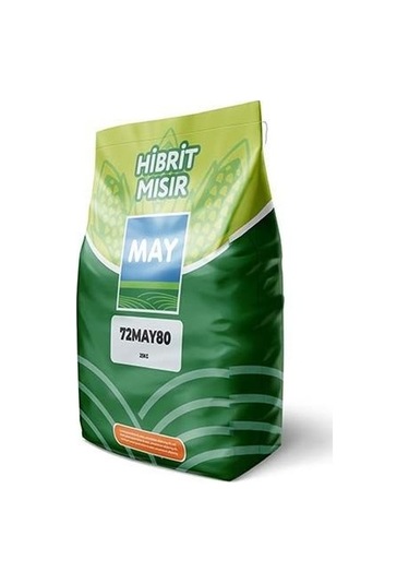May 72 May 80 Mısır Tohumu