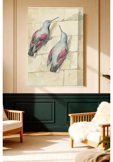 Mushen Studio Pembe Gri Kuşlar Sanat İllüstrasyonu Kanvas Tablo