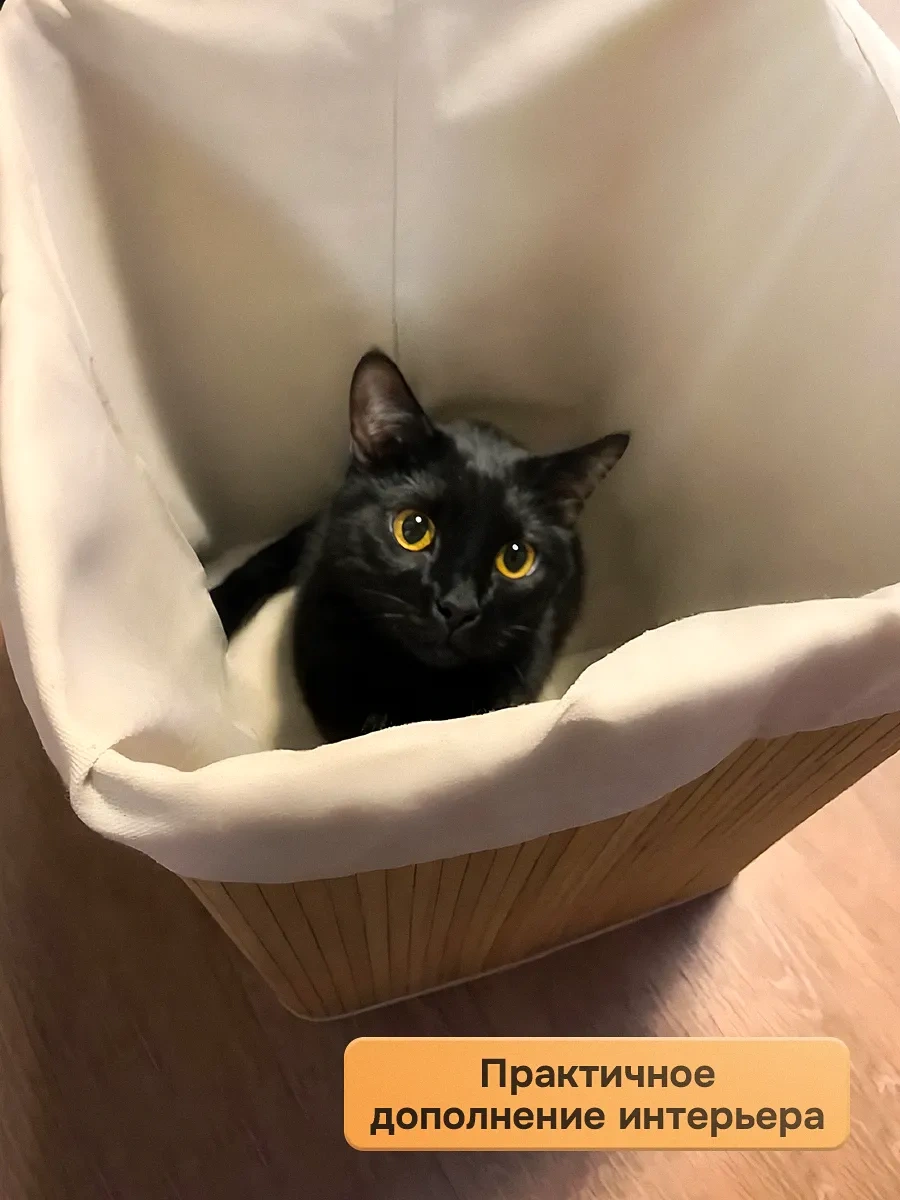 Ryzij Kot Kapaklı Ve Kulplu Çamaşır Sepeti 418677580 Bej