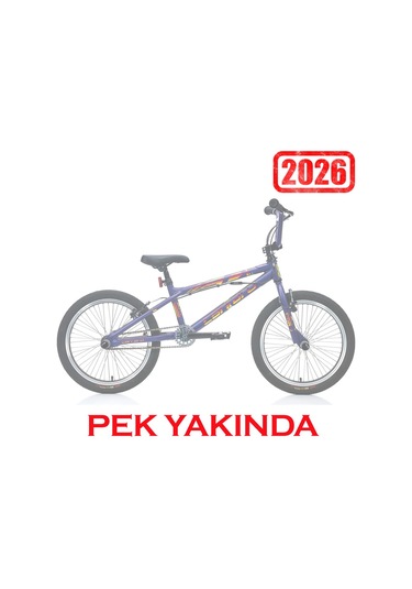 Carraro Rave Bmx Bisiklet Mat Mor Hologram Mor