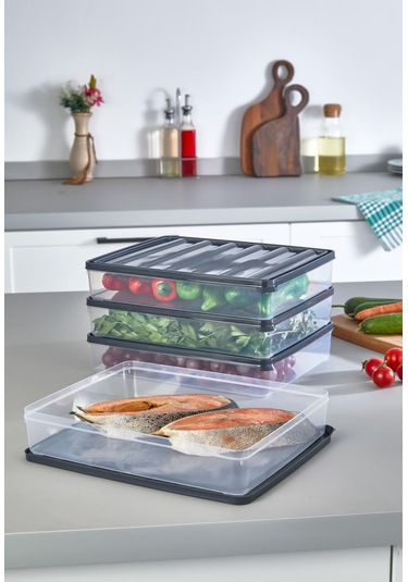 4 Adet 2500 Ml Dondurulmuş Öğünlük Et Ve Sebze Saklama Kabı