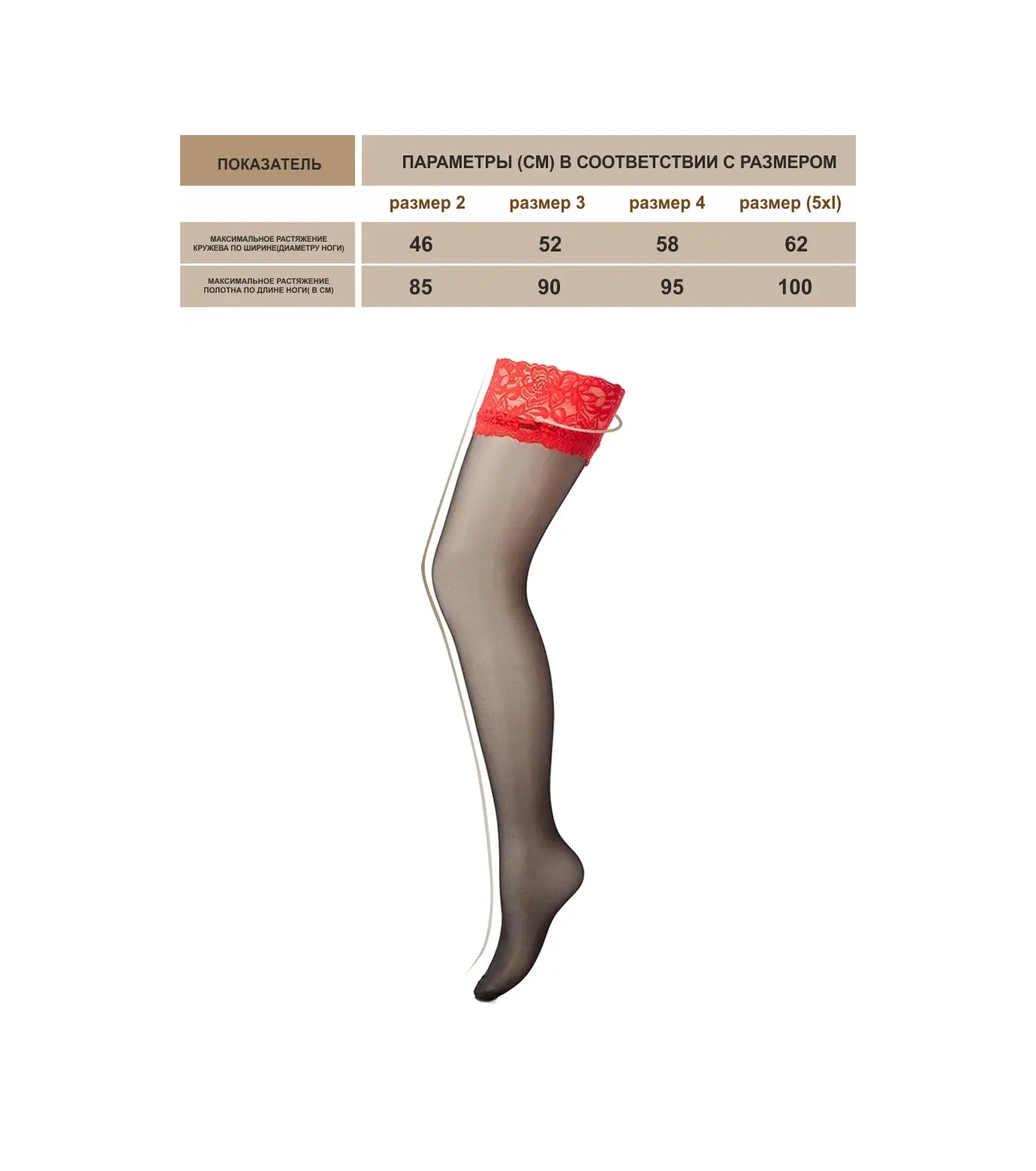 Calzeamo Dantel Naylon Çoraplar 35431951 Siyah