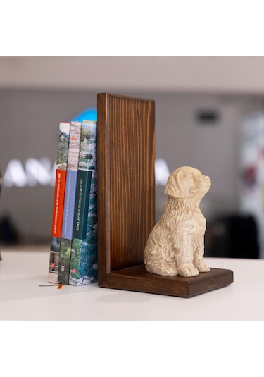Can Dostum Köpeğim Kitap Desteği