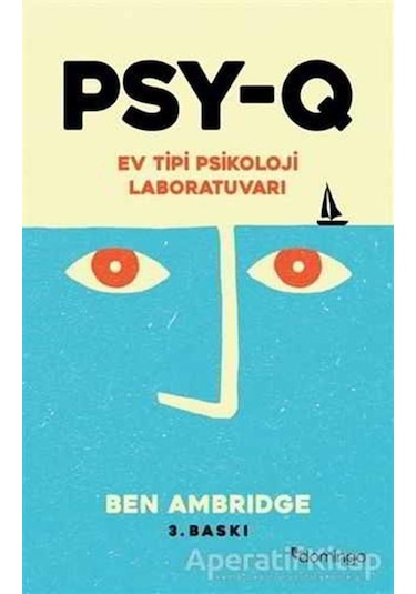 PSY-Q - Ev Tipi Psikoloji Laboratuvarı - Ben Ambridge - Domingo Yayınevi