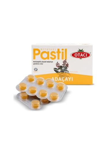Otacı Adaçayı Salvia 16 Pastıl