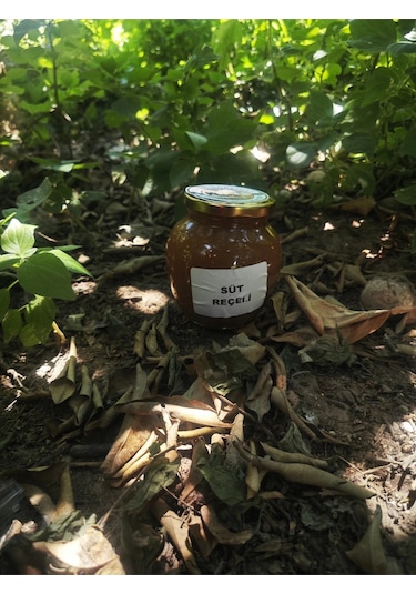 Süt Receli 450 Gr