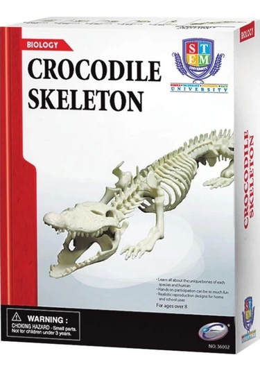 Timsah İskeleti Bilim Seti