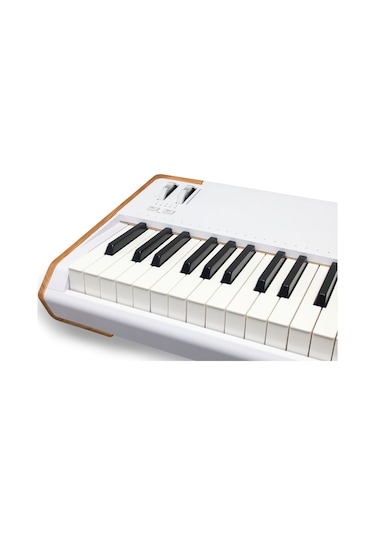 Astrolab 88 Avantgard Sahne Synthesizer 88 Tuş
