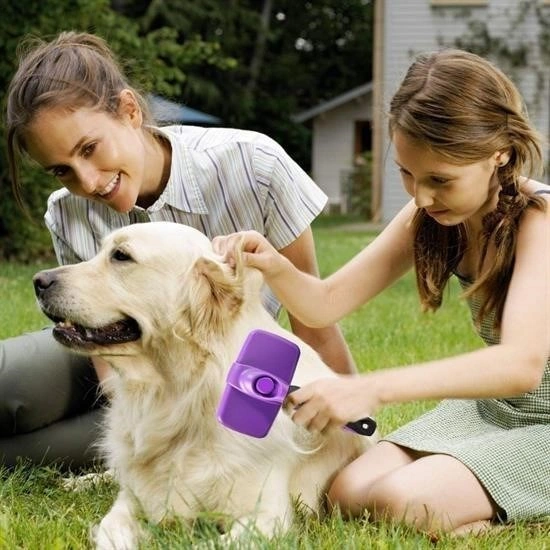 Buffer Otomatik Temizlenebilen Tuşlu Pratik Kedi Köpek Tüy Toplama Fırçası Çok Renkli