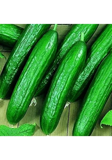 Bol Döken Kokulu Beith Alpha F1 Salatalık Tohumu 10 Adet