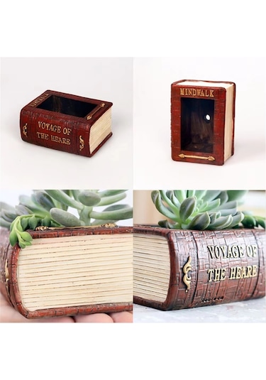 Edebiyat Kitabı Sukulent Saksı Gerçekçi Kitap Saksı