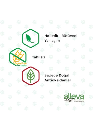 Alleva Holistik Balıklı Tahılsız Maxi Irk Yavru Köpek Maması 2 Kg