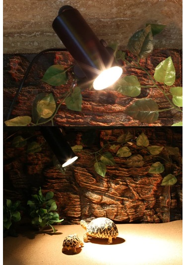 Lichen Sürüngen Isıtma Lambası, 25w E27 Uva+uvb Isıtma Lambası