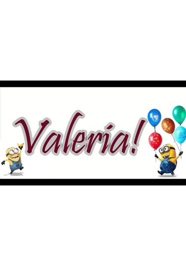Valeri Pvl-002M-4/4 Tam Boy Orta Kalite Mat Hareli Keman Seti