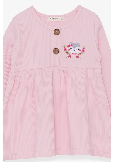 Breeze Kız Çocuk Uzun Kollu Elbise Tilkicik Nakışlı 1.5-5 Yaş, Pudra