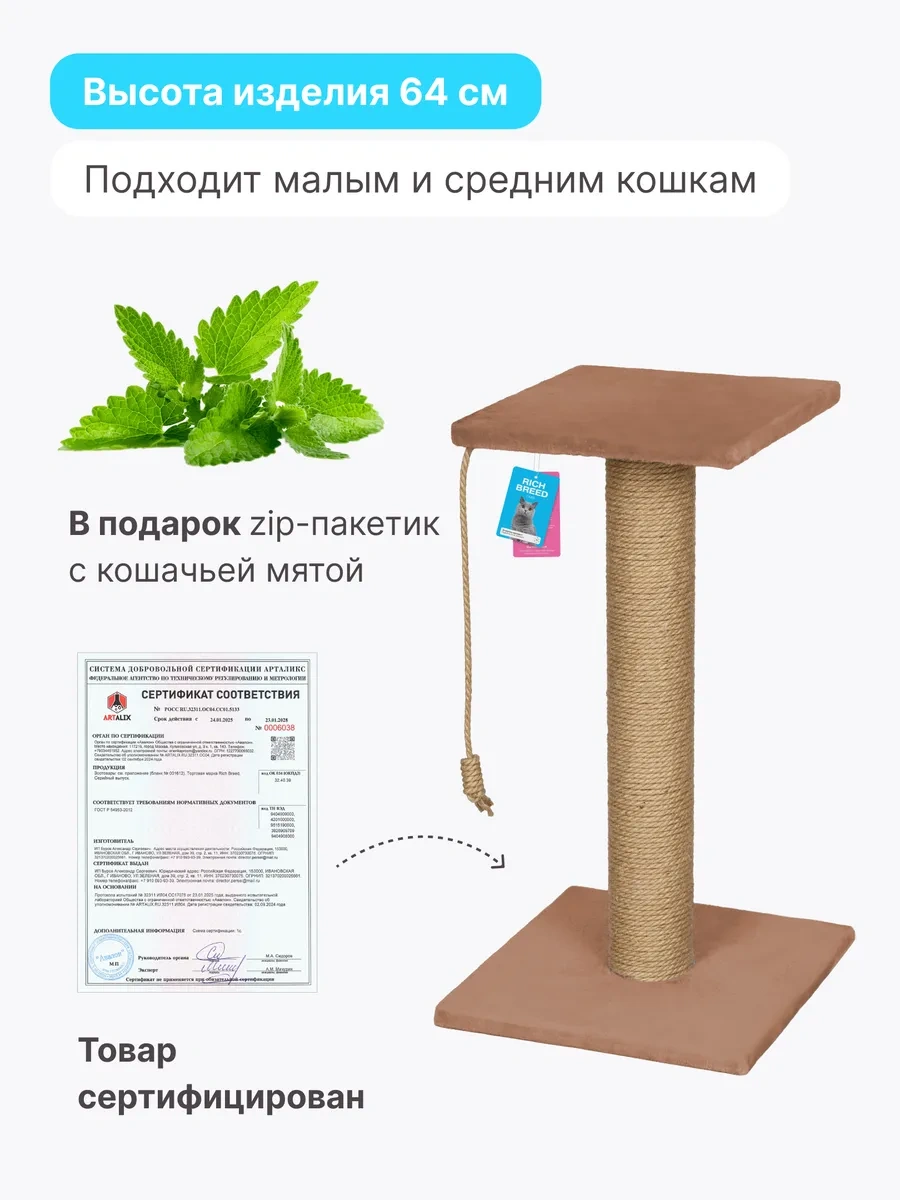 Rıch Breed Kedi Tırmalama Direği Masası Zeminli Dinlenme Yatağı 37861527