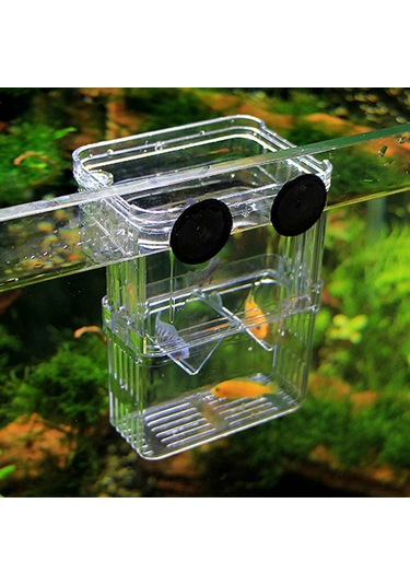 Xindoker Büyük Boy Şeffaf Balık Yavruları Koruma Kutusu - Çok Amaçlı Akvaryum İzolasyon Kutusu