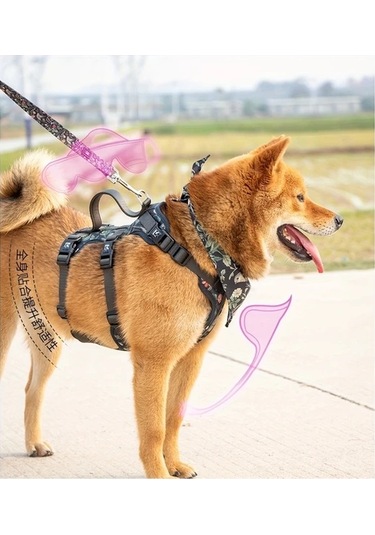 Honeybeeshop L Harness Ayarlanabilir Köpek Tasması Tasma Bandana Yaka Küçük Büyük Irklar İçin Nefes Alabilir Yumuşak Yürüyüş Ekipmanı Altın