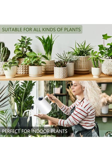 Geeroyoo Modern Paslanmaz Çelik 35oz Sulama Kabı, Uzun Ağızlı İç Mekan Bitkileri Ve Bonsai İçin Dekoratif Sulama Kabı - Beyaz