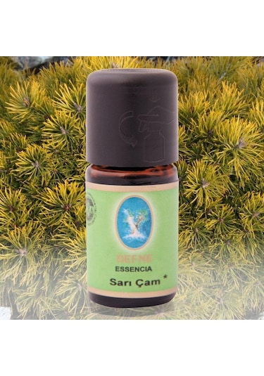Defne Nuka Essencia Sarı Çam Yağı 10 ML