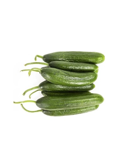 Bykurt Sunagri Çengelköy Salatalık Tohumu - 5 Gr Lezzetli, Bol Verimli