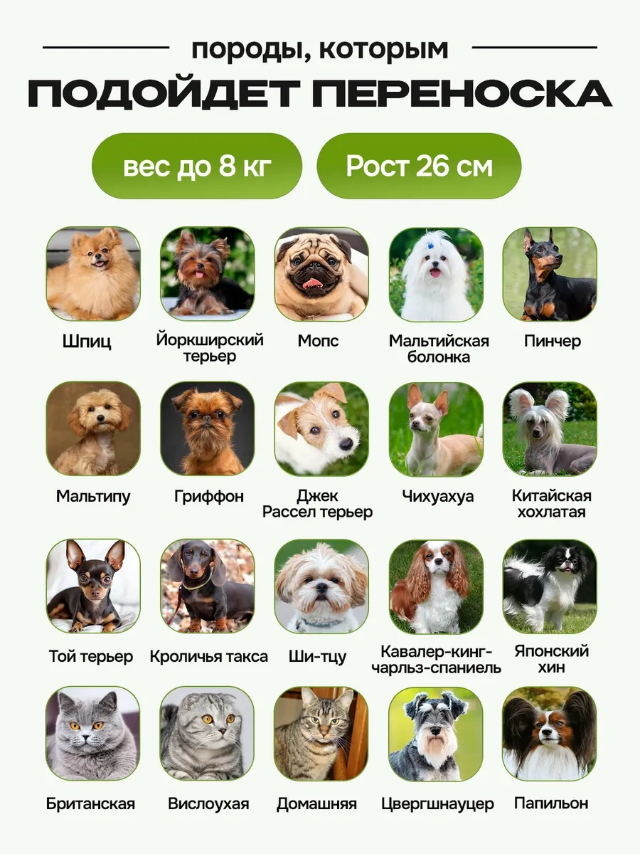 Kotosumka Kedi Ve Köpekler İçin Taşıma Çantası 413438334