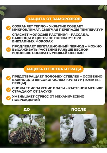 Sadovita Güller İçin Kış Koruma Örtüsü, Bitki Örtüsü. 460298501