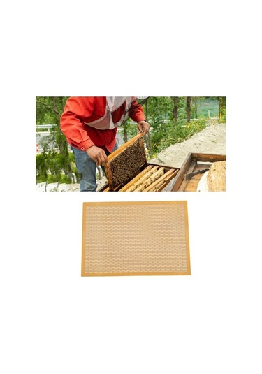 Pazly Suntek Kraliçe Arı Dışlayıcı Çerçeve, 8'li Çerçeve Seti