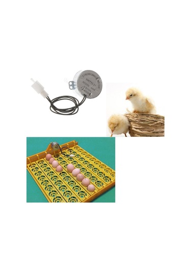 Suntek Tavuk Turner Kuluçka Hatcher Brooder Ac 220 V Için