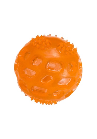 Ferplast PA 6411 Termo Plastik Köpek Oyuncak Top