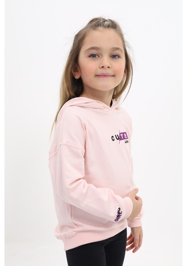 Toontoy Kız Çocuk Nakışlı Sweatshirt Pudra